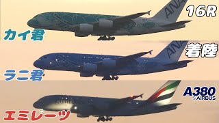 【4K】成田空港 十余三東雲の丘よりAランに着陸するA380(カイ君・ラニ君・エミレーツ航空)３連発