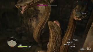 Dragon s Dogma Dark Arisen 龙之信条黑暗觉者 多头蛇