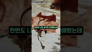 13살 아이가 죽었을때 집안 분위기