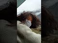 lifeinhimalayas.  (aisi gehraiyaan aisi tanhaiyaan Farhan Akhtar)