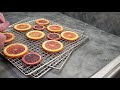 How to Dehydrate Citrus Limes, Lemons, Oranges, Grapefruit and more! Drying citrus for the pantry!