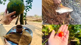 Day with Nature| Ek Unad Divas| #dayinmylife #villagecooking #villagecooking #food @agridines3424