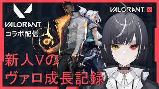 【VALORANT】新人Vtuberの成長記録【コラボ配信】