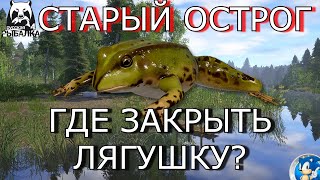 🌟СТАРЫЙ ОСТРОГ🌟КООРДИНАТЫ ДЛЯ ЗАКРЫТИЯ ТРОФ ЛЯГУШКИ🌟Русская Рыбалка 4(РР4)🌟