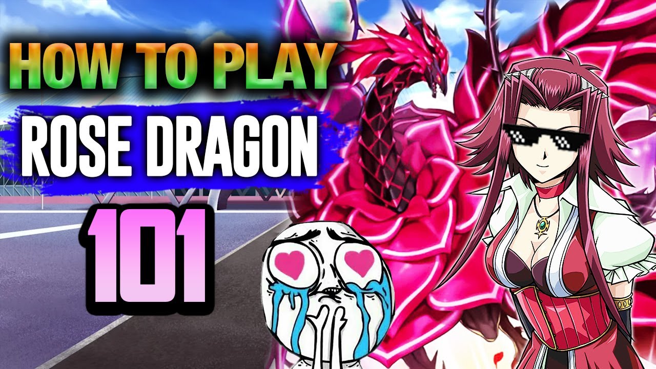 Yu Gi Oh How To Play Rose Dragon 101 Yu Gi Oh 101 Youtube