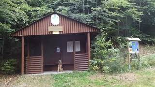 ep178 Czech woods hiking in the woods between Trebon \u0026 Pisek