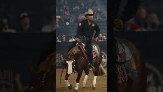 REINING AT THE AMERICAN.  18,000 people watching a horse show