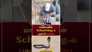 School Bag-ல் பதுங்கிய பாம்பு, \