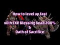 Zeniba´s Guide - how to level up fast with 