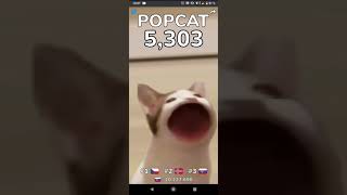 popcat click #1