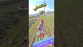 نەورۆزی ٢٧٢٤ کوردی