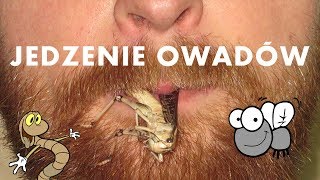 1# Jedzenie owadów | Eating bugs - freakyfoodtv