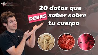 DATOS que no conocías sobre el CUERPO HUMANO