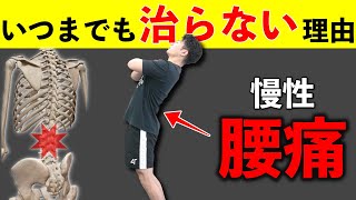 【慢性腰痛】マッサージや整体に行っても腰痛が治らない理由【ヒップスパイン症候群】