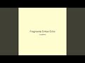 Fragments Ember Echo