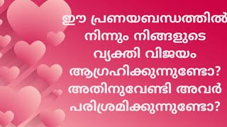 ഈ പ്രണയബന്ധത്തിൽ നിന്നും നിങ്ങളുടെ വ്യക്തി വിജയം ആഗ്രഹിക്കുന്നു|555 angel tarotcard readingMalayalam