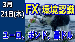 【TAKA FX】ドル、円、ユーロ、ポンド、豪ドルの環境認識解説。3月21日(木)