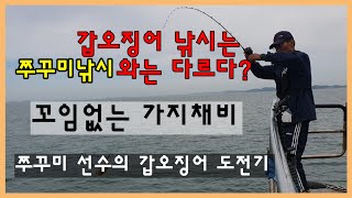 낚시는 겸손해야 합니다 // 쭈꾸미 장원 거듭하다 맛본 갑오징어 낚시의 쓴맛 // 천일호 // 꼬임없는 가지채비 실전테스트 결과