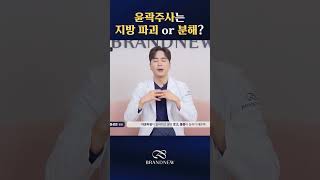 윤곽주사는 지방파괴? or 지방분해? [조각하는 의사 윤성은]