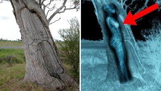 Most BIZARRE Recent Archaeological Discoveries!
