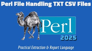 Easy Perl File Handling Opening CSV TXT Files