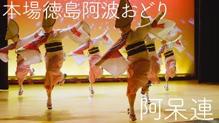 【阿波踊り2024・阿呆連】踊り見るなら阿呆連！ 本場徳島阿波おどり Awaodori in Tokushima Japan 4K HDR