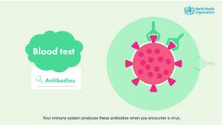 Different tests for COVID-19