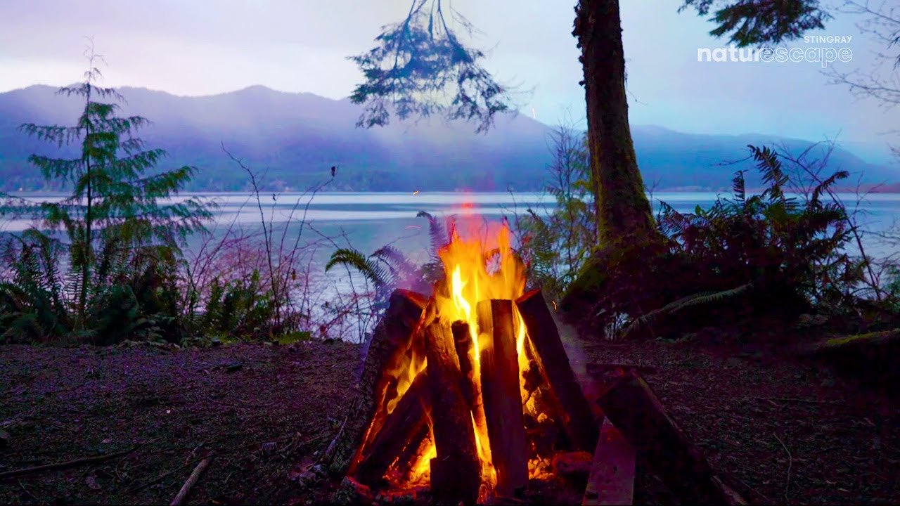 Lake Campfire Screensaver