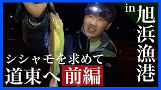 【コマイ爆釣】道東進出！ししゃもを求めて前編 in旭浜漁港　［カンカイ］［氷下魚］［シシャモ］［北海道釣り］［大樹漁港］