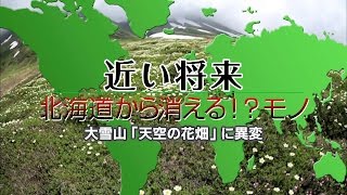 大雪山「天空の花畑」に異変～近い将来北海道から消える!?モノ～｜COOL CHOICE：北海道