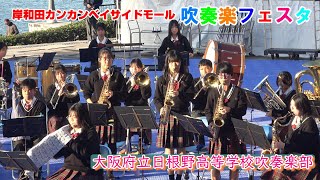 大阪府立日根野高等学校吹奏楽部/岸和田カンカンベイサイドモール吹奏楽フェスタ2024