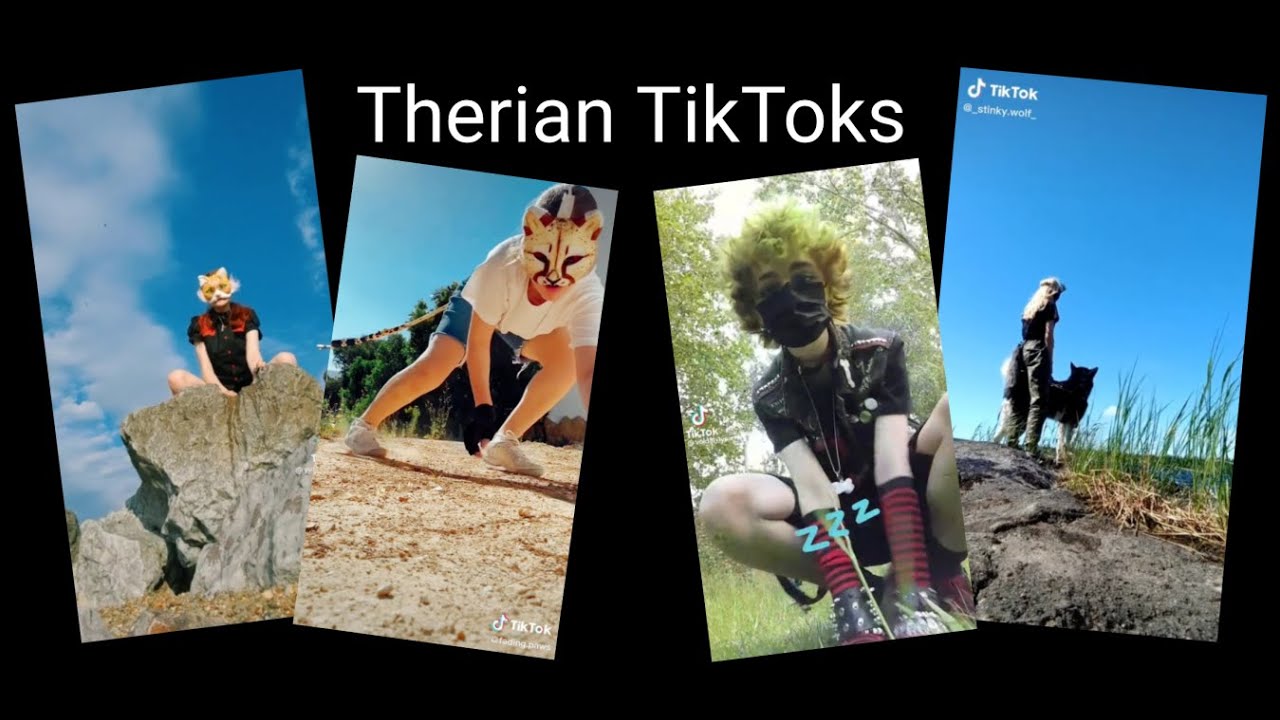 Therian Tiktok Compilation Youtube