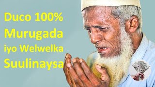 HADII CULEYS DHAQAALE WELWEL IYO KURBO NOLOSHA KUGU HAYSATO DUCADAAN AKHRISO SI NIYADA