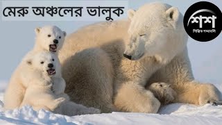 মেরু অঞ্চলের ভালুক। পৃথিবীর সবচেয়ে ঠান্ডা পরিবেশে বাস করা প্রাণী। শিল্পিত শব্দাবলি। POLAR BEAR ।