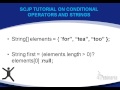 scjp/ocjp  tutorial on ternary operator