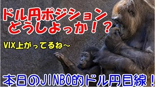 ドル円ポジションどうしよっか！？投資TUBE・投資顧問アイリンクインベストメント・FX