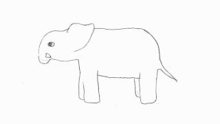 Mouse/Elephant - Hand Drawn Morphing Animation