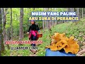 VLOG58-TIDAK PAYAH PERGI JAUH UNTUK BERBURU CENDAWAN/JAMUR LIAR DEKAT DENGAN KEBUN PUN ADA JUGA