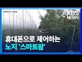 온실 벗어난 ‘노지 스마트팜’…미래 농업 대안될까? / KBS  2022.07.12.