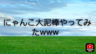 【にゃんこ大泥棒】声にゃんこ大泥棒やってみたwww