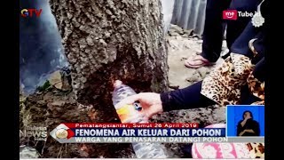 Warga Pematangsiantar Heboh Fenomena Air Keluar dari Pohon - BIS 26/04