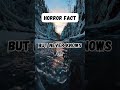 Unbelievable Facts You Need to Know!