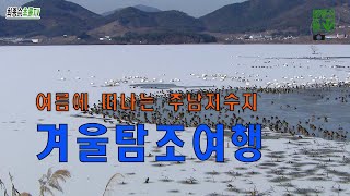 여름에 떠나는 주남저수지 겨울탐조여행