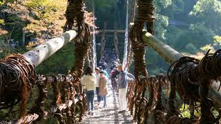 祖谷のかずら橋