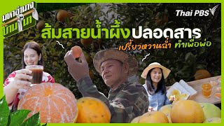 ส้มสายน้ำผึ้งปลอดสาร เปรี้ยวหวานฉ่ำ ทำเพื่อพ่อ | มหาอำนาจบ้านนา