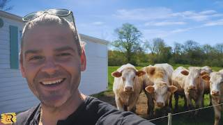 We Start the Deck + The Cows Are Back! | 200-Year-Old Farm Renovation