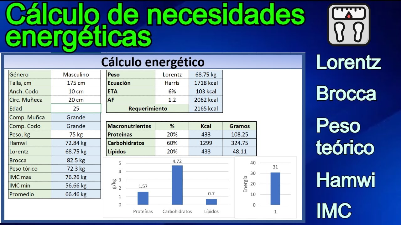 Cálculo De Gasto Energético Con Harris Y Mifflin: Pesos De Lorentz ...