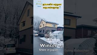 குளிர்காலத்தில் ஜப்பானின் சிறந்த ஐந்து நகரங்கள்🇯🇵Top Five Snow Places to Visit in Japan|Snow Fall