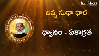 Divya Sudha Dhara | ధ్యానం - ఏకాగ్రత | Heartfulness Telugu | 05-08-2024