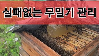 20240707  장마철 무밀기 실패없는 양봉관리